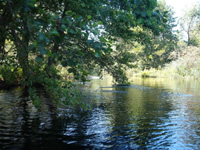 Fotografii Delta Dunarii, foto Delta Dunarii, pictures Danube Delta